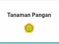 TANAMAN PANGAN